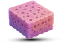 Губки