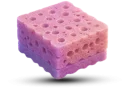 Губка